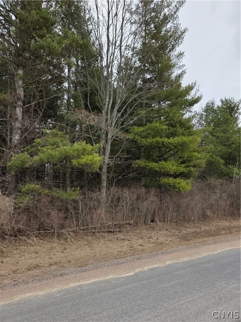 Calaboga Road Redwood, NY 13679 - Photo 9 of 11 View from Calaboga Rd