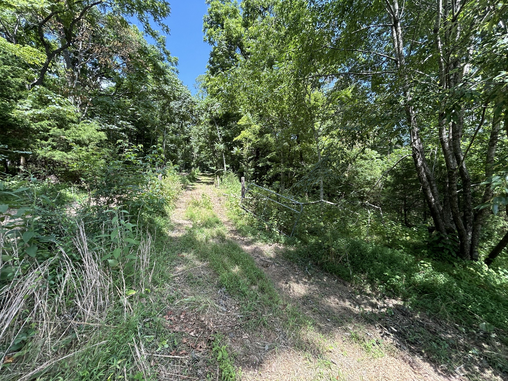 1 New Hope Cemetery Road Pulaski, TN 38478 - Photo 15 of 21