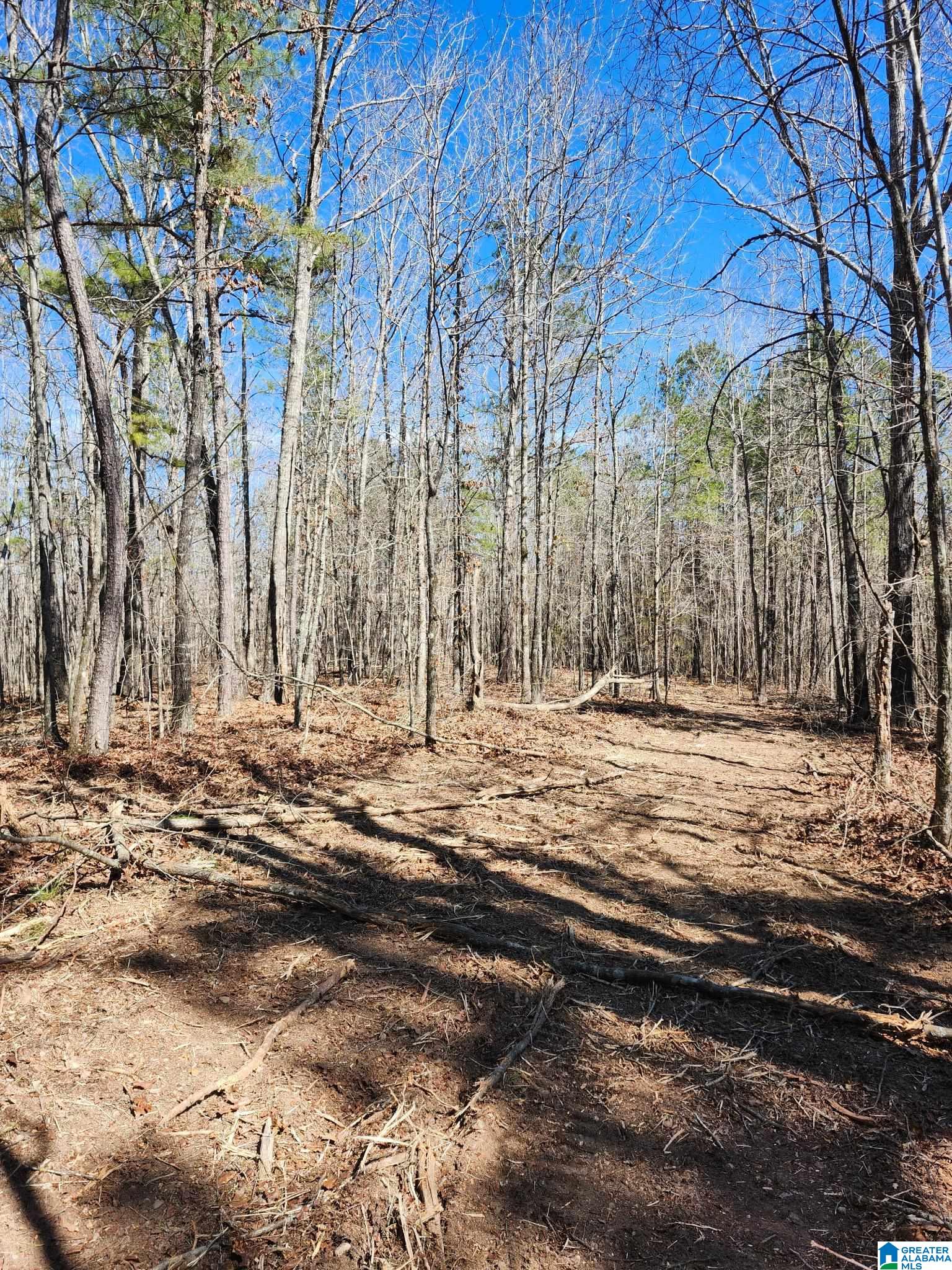 0 Francis Mill Road Ohatchee, AL 36271 - Photo 25 of 31 Gallery Image 25
