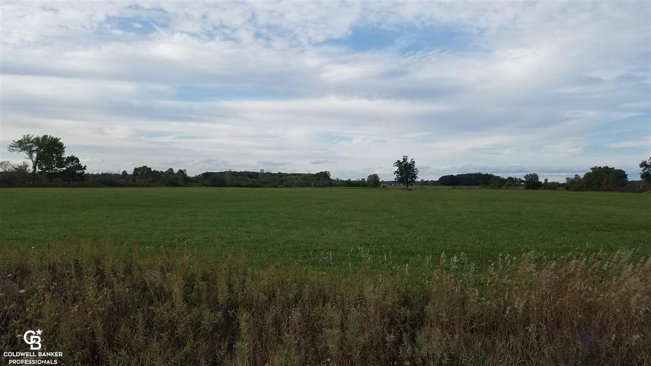 A-b Oatman Parc Avoca, MI 48006 - Photo 5 of 11