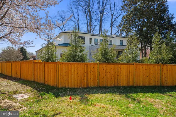 a view of a yard with plants and trees