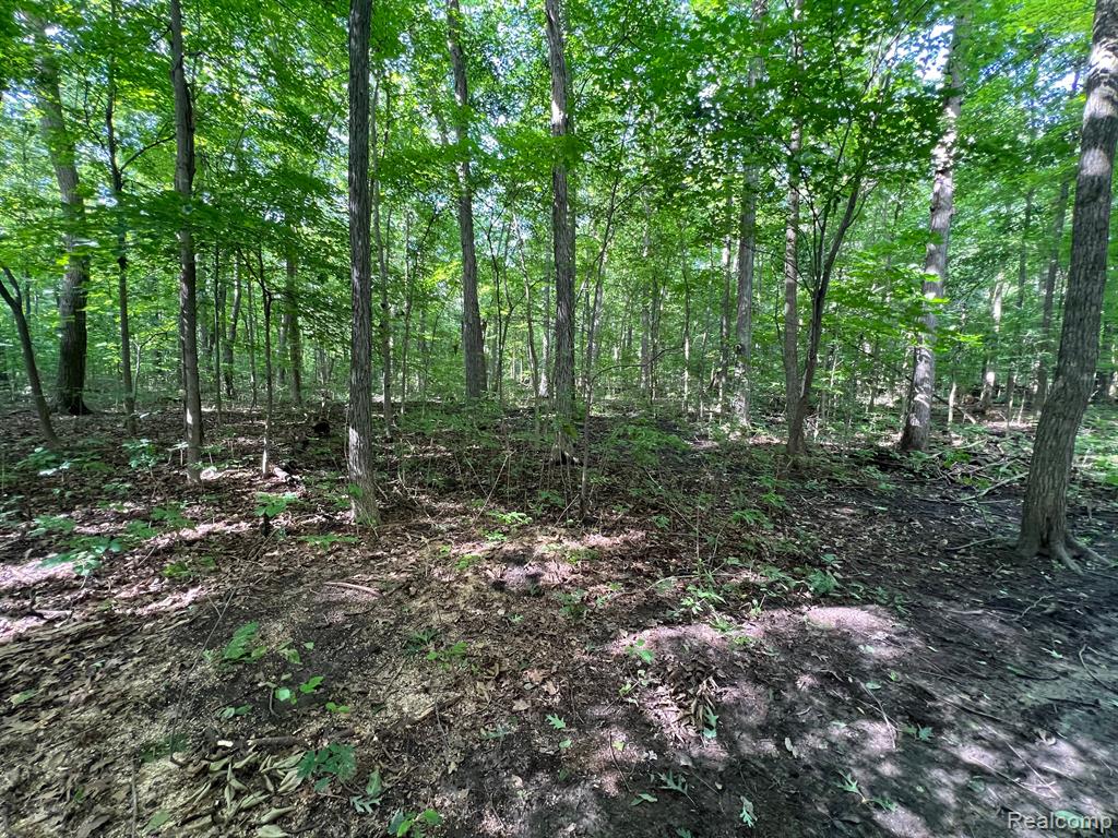 0 North Hadley Road Ortonville, MI 48462 - Photo 4 of 13