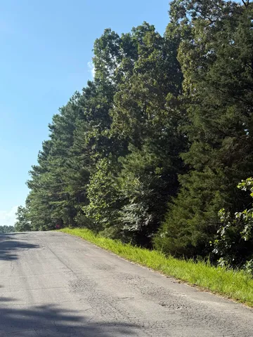 a view of a yard with a plants and trees