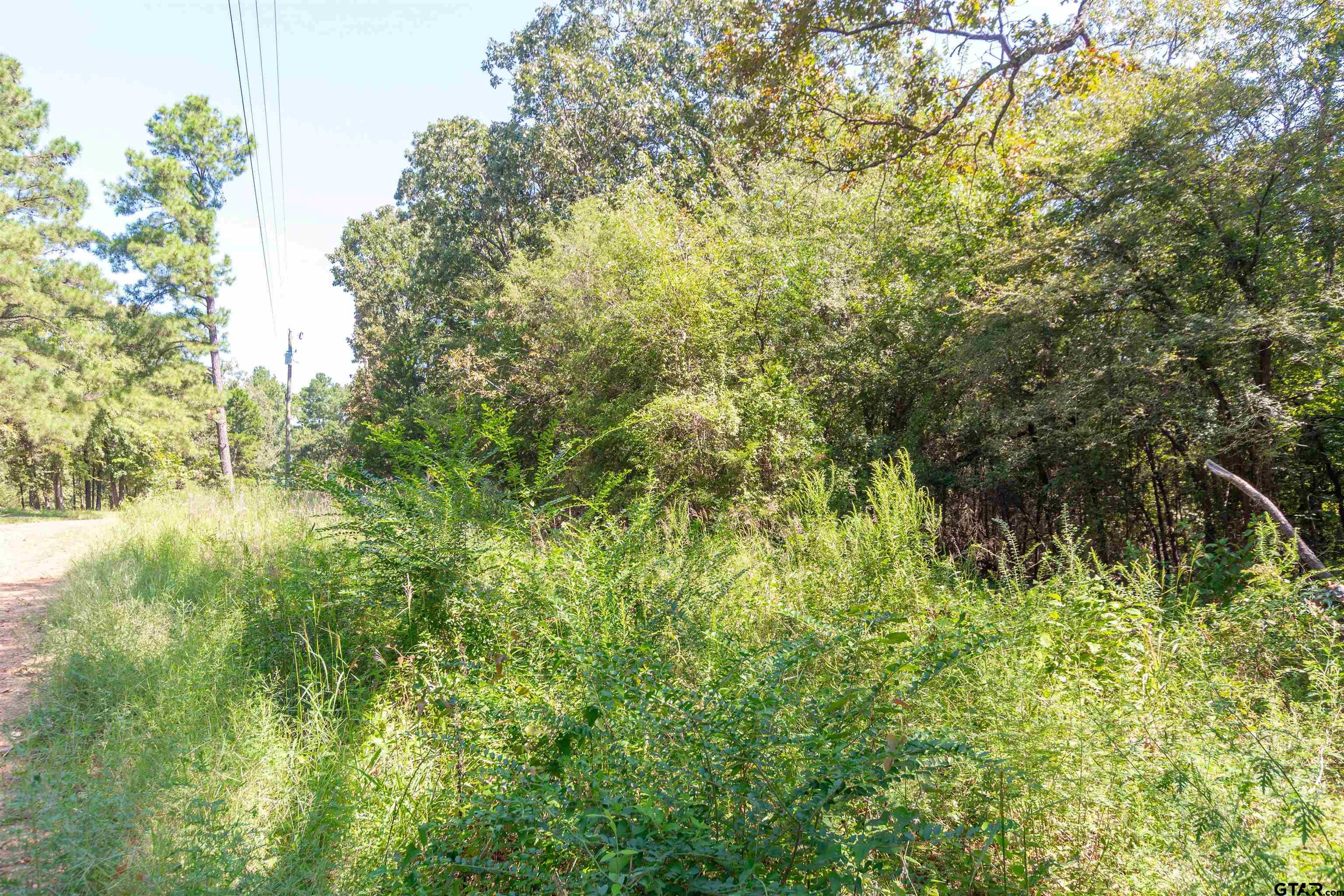 13234 Mountain View Road South Winona, TX 75792 - Photo 4 of 4 a view of a yard