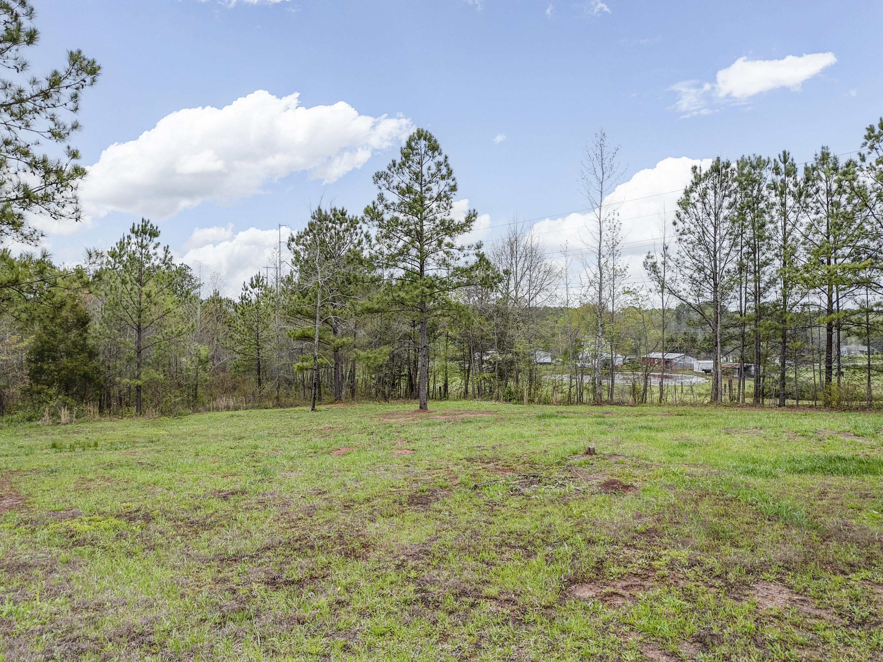 3663 Reed Road Tunnel Hill, GA 30755 - Photo 12 of 40 12-print-DJI_0905_6_7