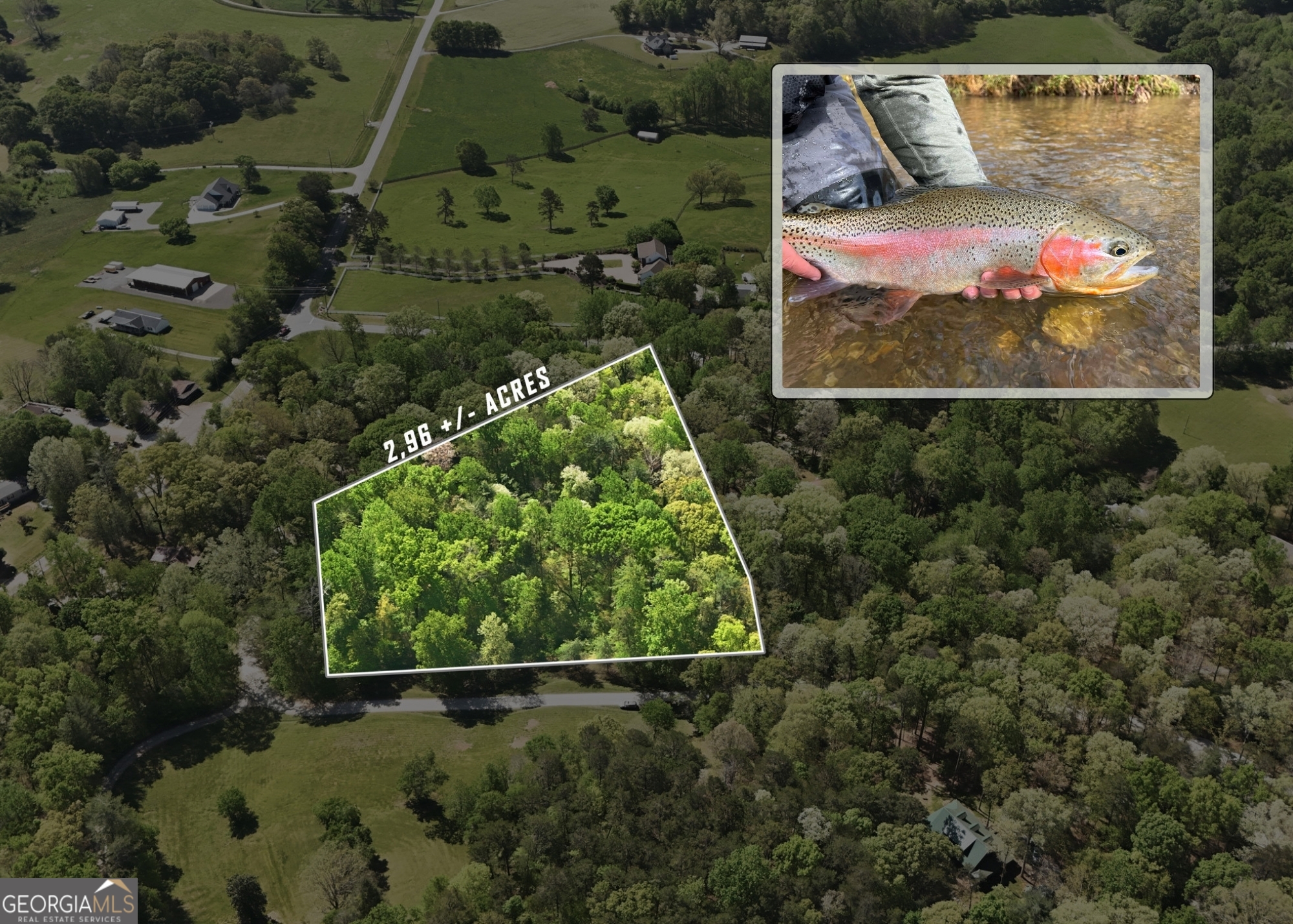 aerial view of a yard