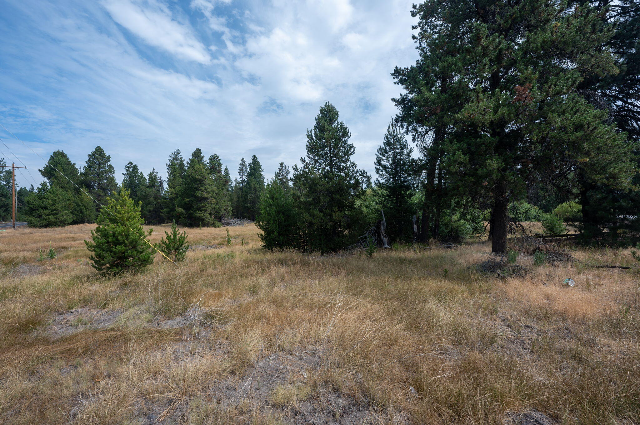 51596 Dorrance Meadow Road La Pine, OR 97739 - Photo 8 of 8 23-web-or-mls-Martin_JREP_00023