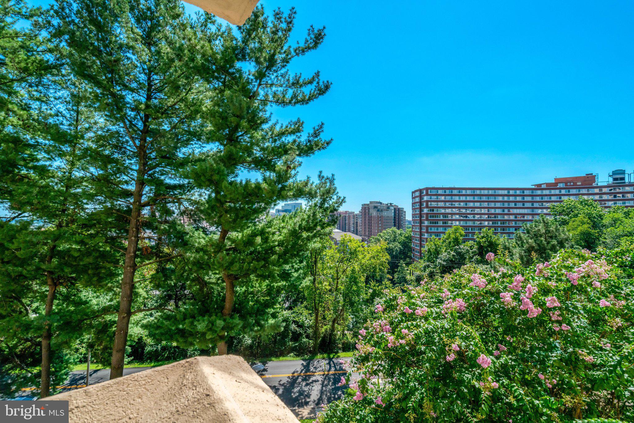 1101 South Arlington Ridge Road, Unit 304 Arlington, VA 22202 - Photo 41 of 60 Gallery Image 41