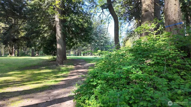 a view of a back yard