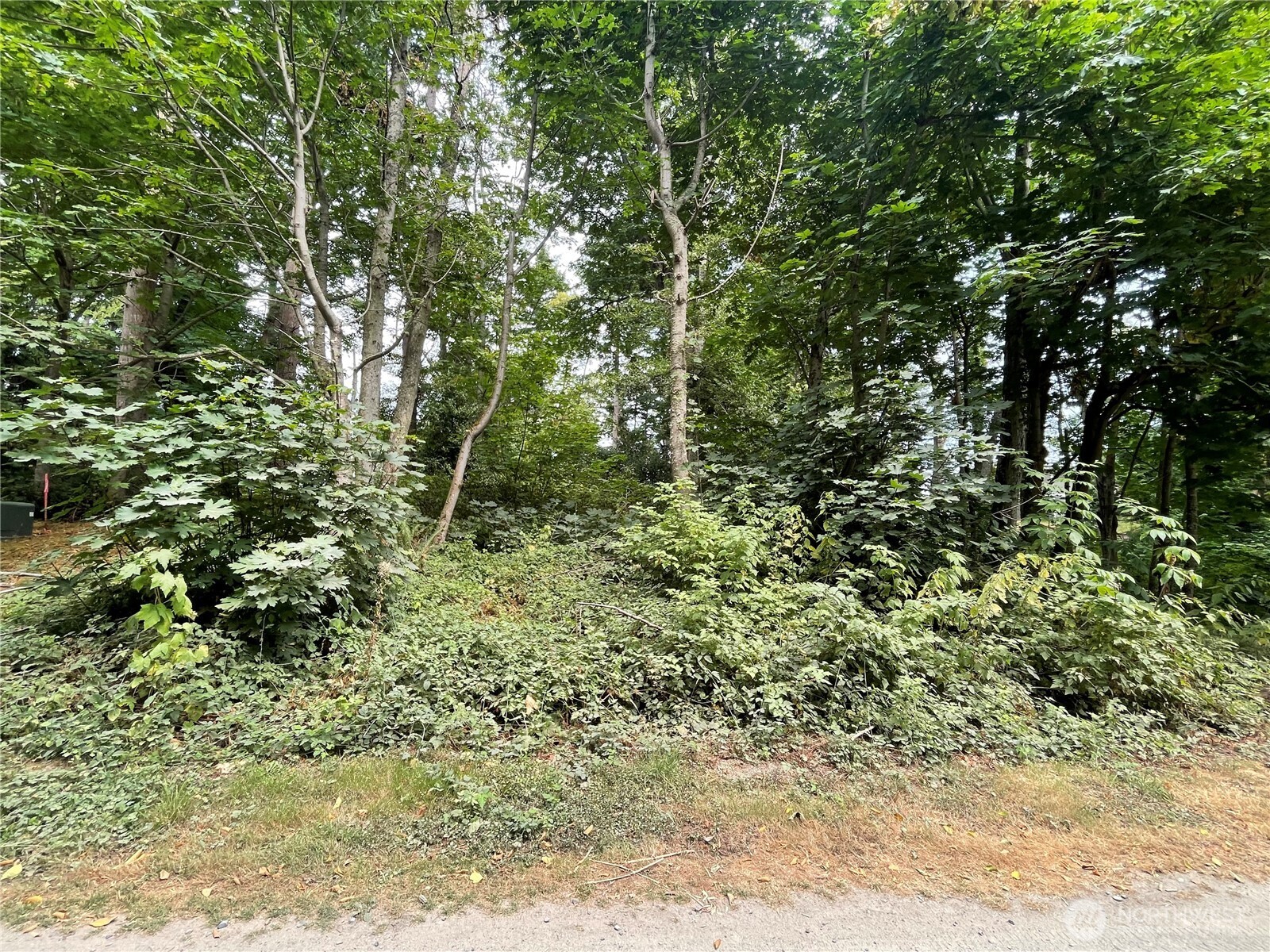 32 K Beach Way Hat Island, WA 98201 - Photo 5 of 21