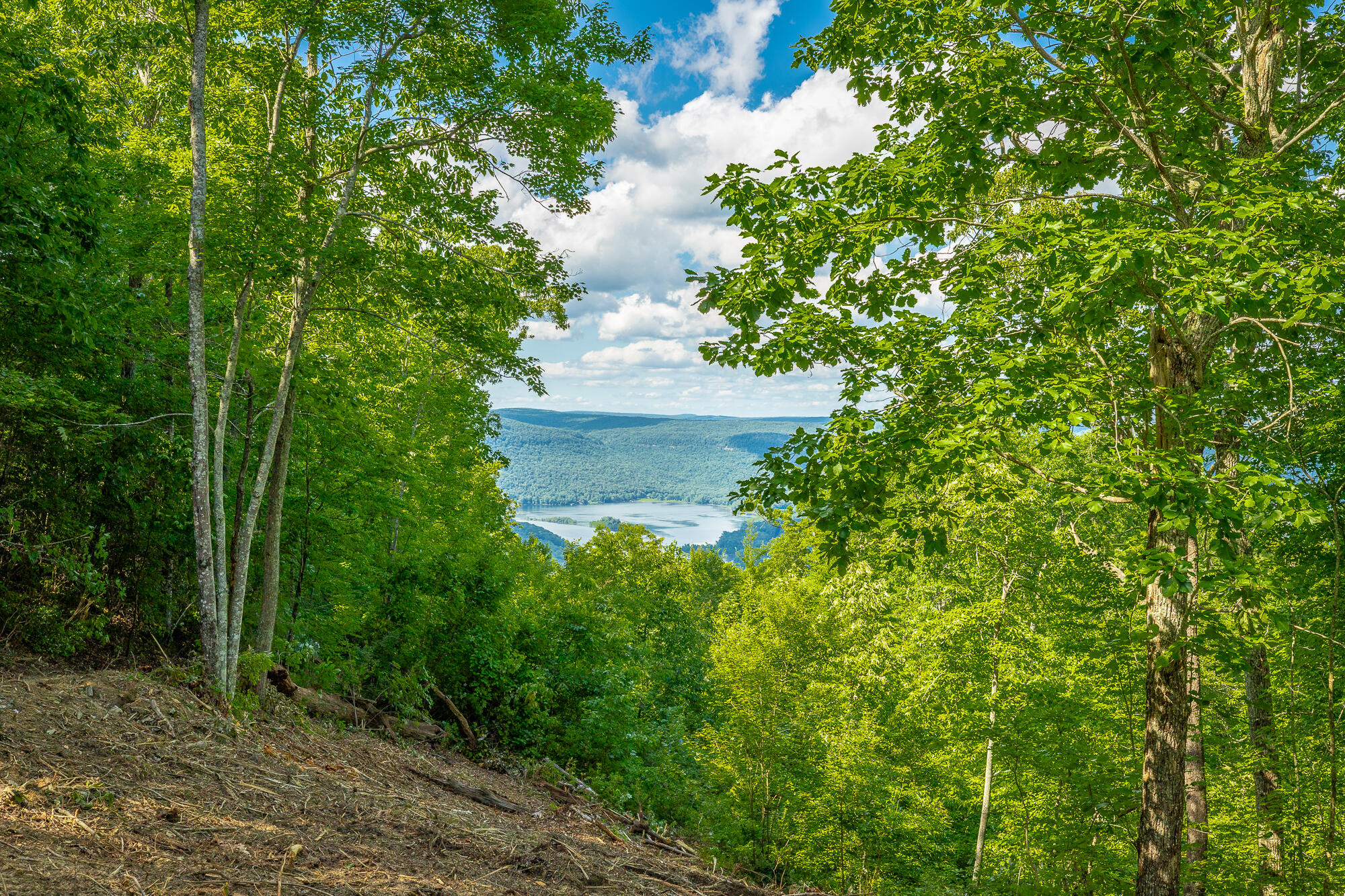 0 Back Basin Trail, Unit LOT 1244 Chattanooga, TN 37419 - Photo 11 of 119 MCW Correction HD-19