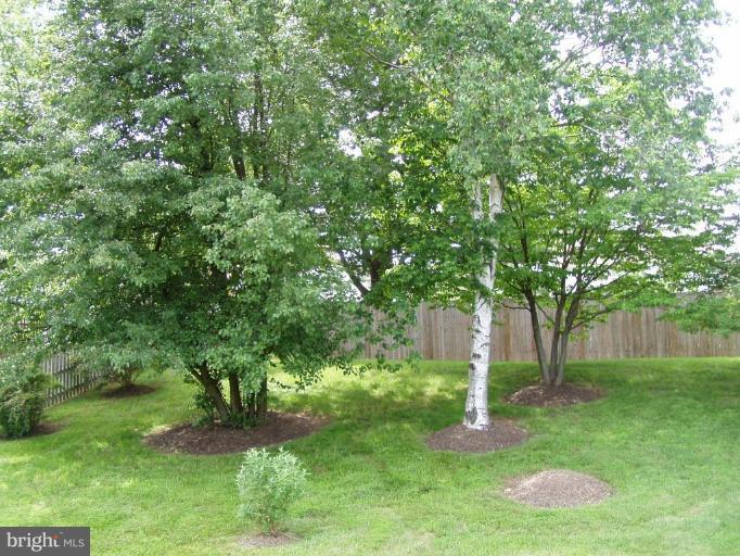 3709 Briars Road Olney, MD 20832 - Photo 14 of 16 Wooded View / Acreage