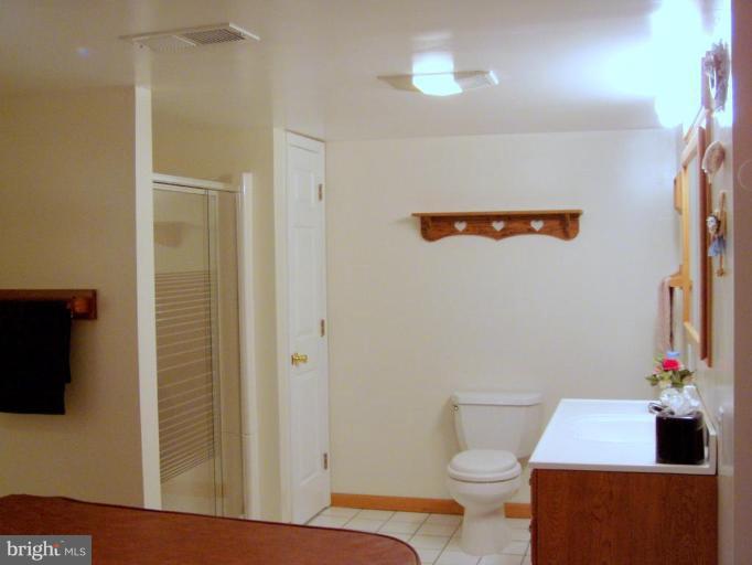 3709 Briars Road Olney, MD 20832 - Photo 8 of 16 Lower Level full bath with hot tub