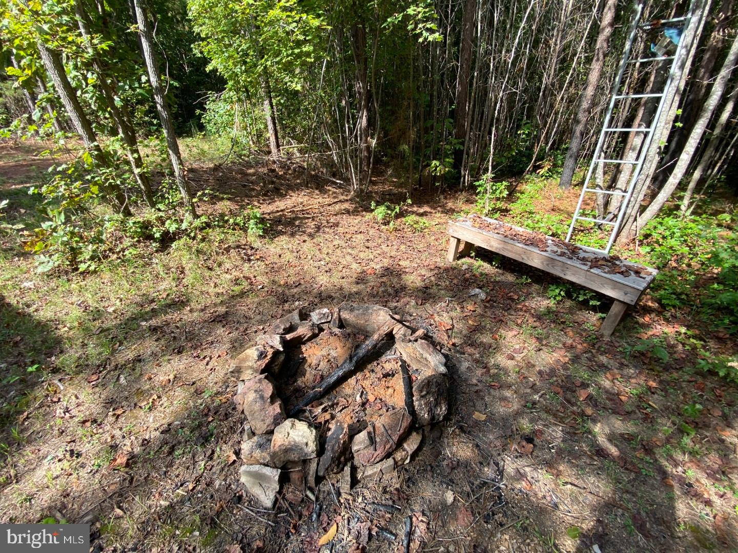 684 Squirrel Hollow Road Alberta, VA 23821 - Photo 17 of 43 Serene campfire spot in the woods.