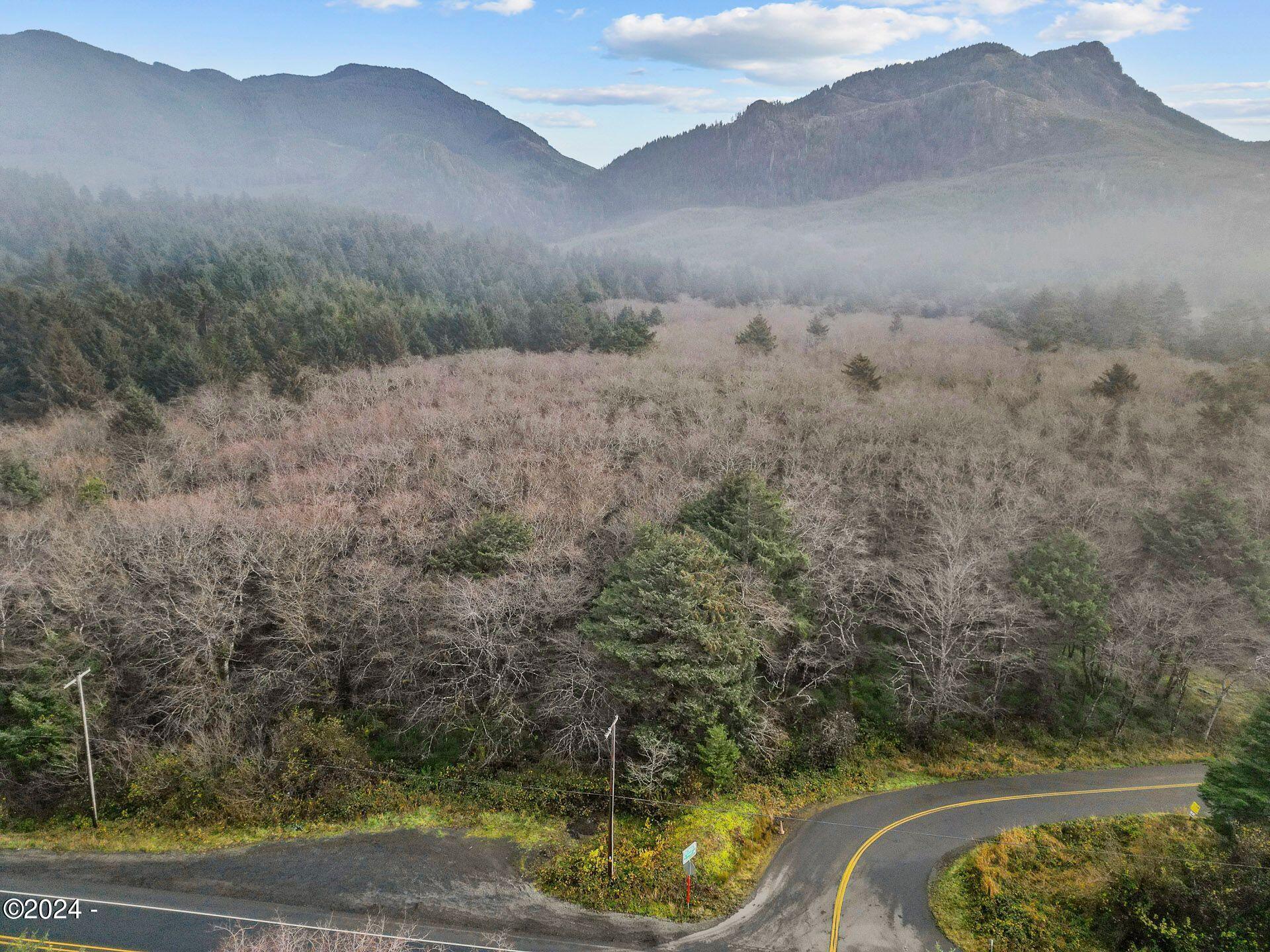 8500 East Beach Road Arch Cape, OR 97102 - Photo 4 of 19 Drone- East Facing