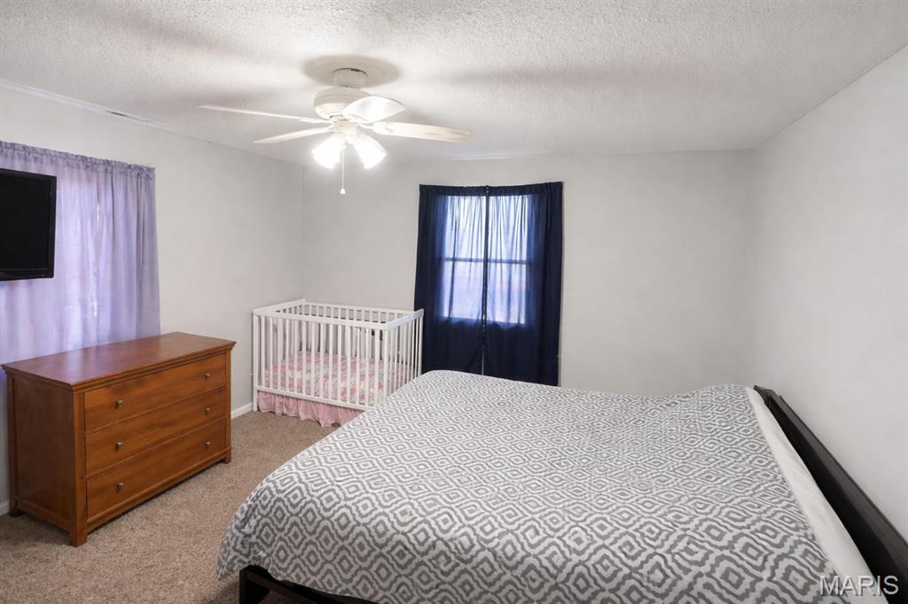 183 South Washington Road Hamburg, IL 62045 - Photo 3 of 7