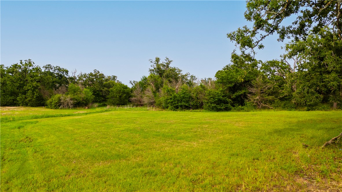 6922 McCrae Lane Bryan, TX 77808 - Photo 7 of 20