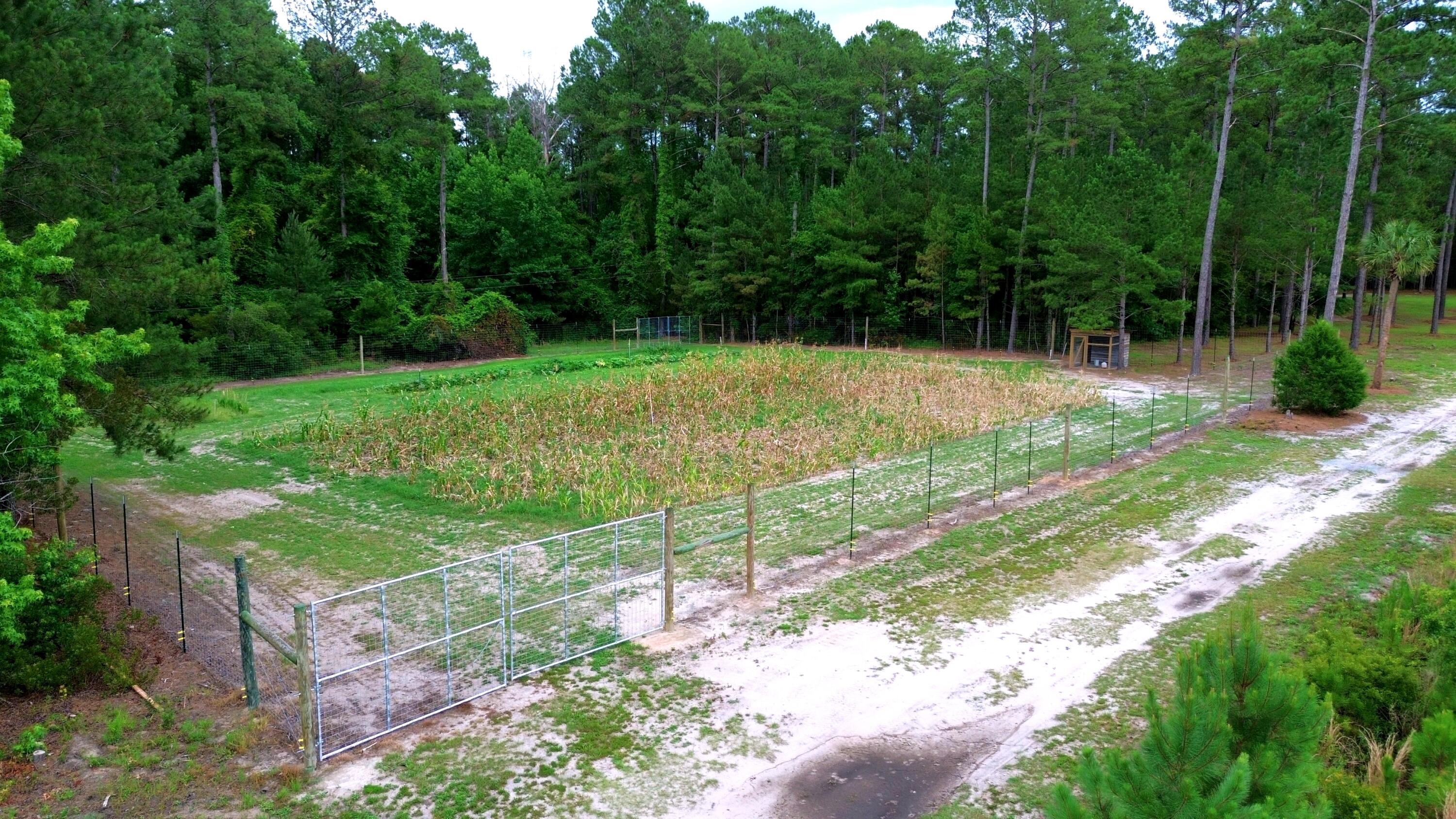 1970 Cross Swamp Road Islandton, SC 29929 - Photo 148 of 150