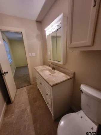 a bathroom with a sink toilet and mirror