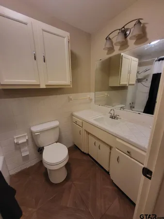 a bathroom with a sink toilet and mirror