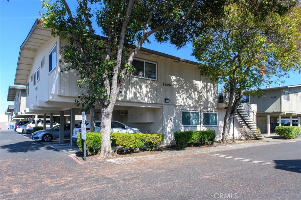 39594 Trinity Way Fremont, CA 94538 - Photo 6 of 14 a front view of a house with garden