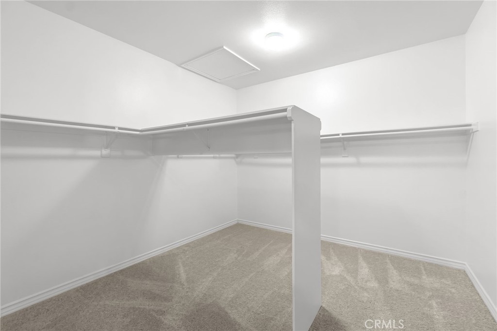 17089 Bluff Vista Court Riverside, CA 92503 - Photo 29 of 49 Primary Walk in Closet