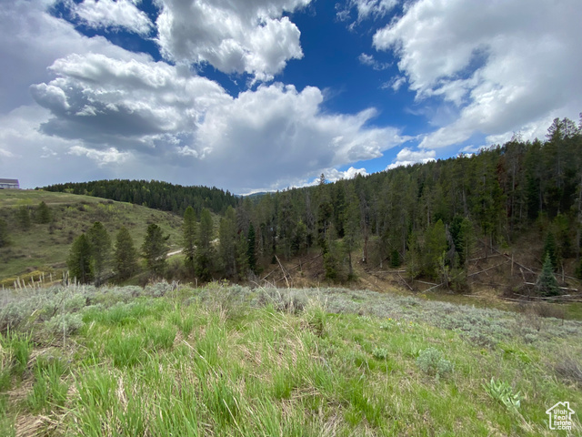 41 Grouse Loop Road, Unit 41 Freedom, WY 83120 - Photo 13 of 33 View of tree filled area with a view of countryside