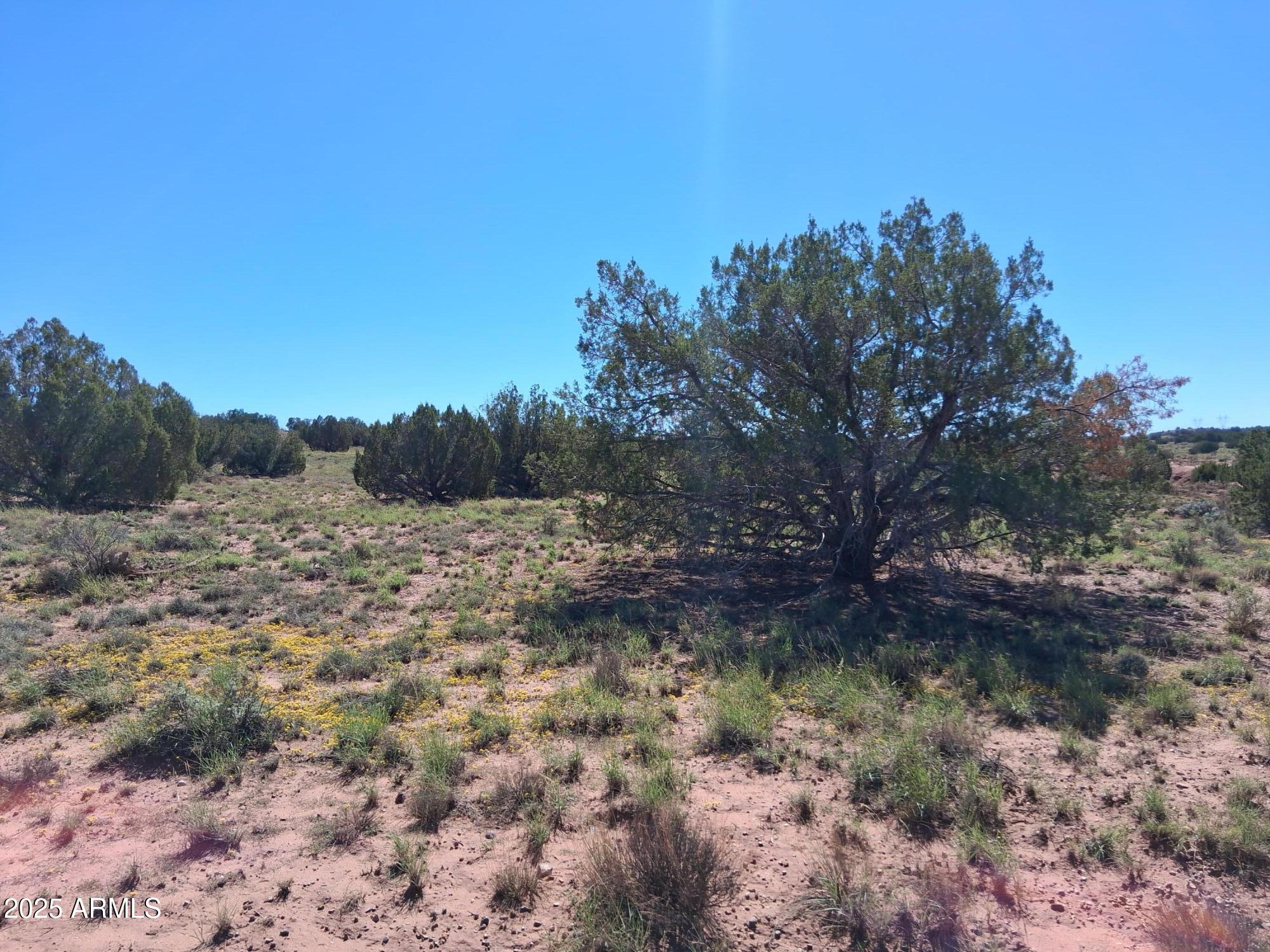 212 County Road Concho, AZ 85924 - Photo 6 of 22