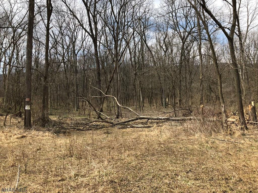 Off Dibert Road Everett, PA 15537 - Photo 5 of 23 Gallery Image 5