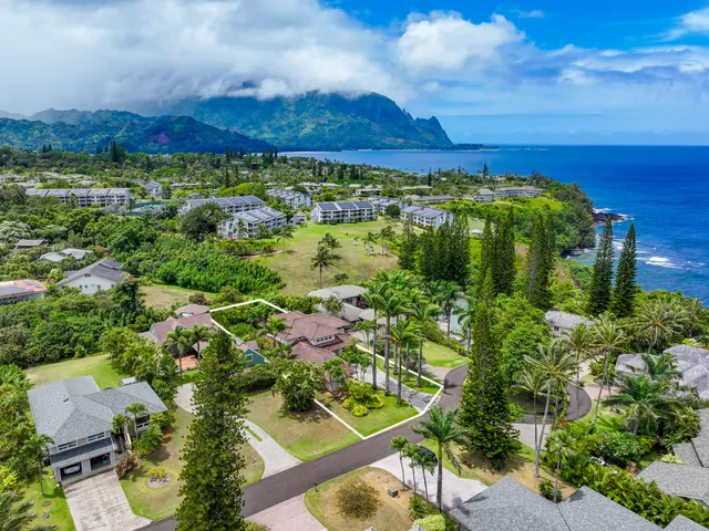 an aerial view of a residential houses covered in trees