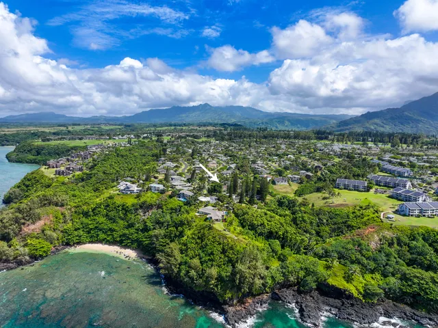 a view of a city with lush green forest