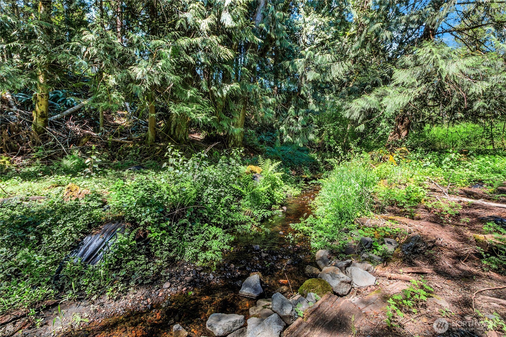 126 Osborn Road Ashford, WA 98304 - Photo 17 of 20