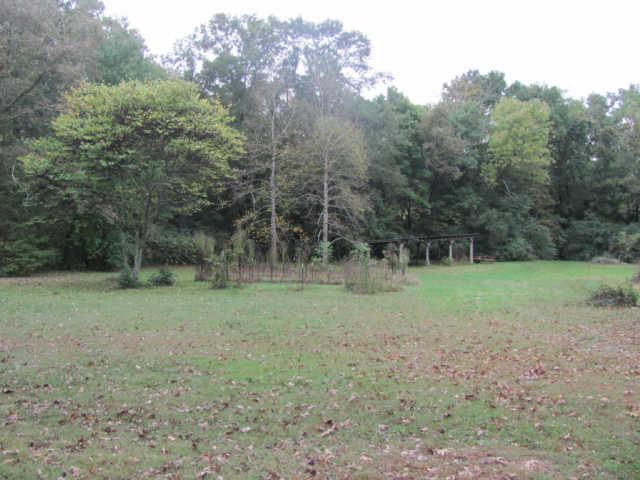 212 Duckworth Road Winchester, TN 37398 - Photo 12 of 16 a view of a field with trees in the background