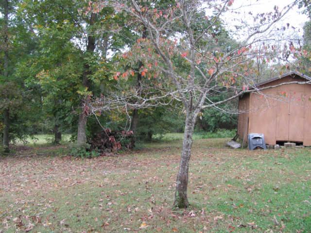 212 Duckworth Road Winchester, TN 37398 - Photo 14 of 16 a view of a out door space area