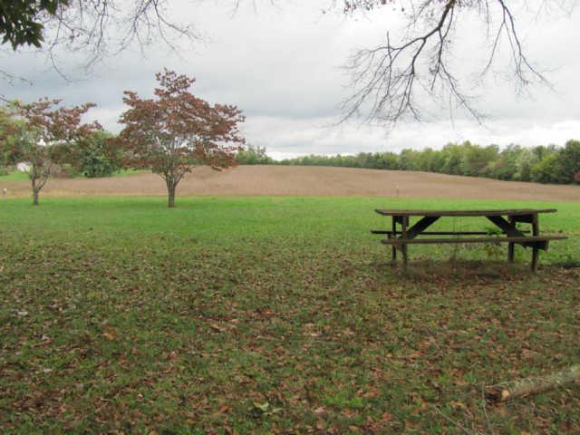 212 Duckworth Road Winchester, TN 37398 - Photo 9 of 16 a view of a yard with a tree