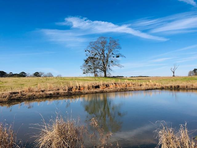 0 C R Conerly Road Kokomo, MS 39643 - Photo 1 of 1 Main View