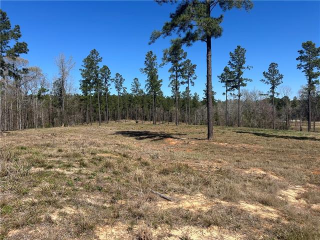 0 Teekell Road Boyce, LA 71409 - Photo 2 of 2