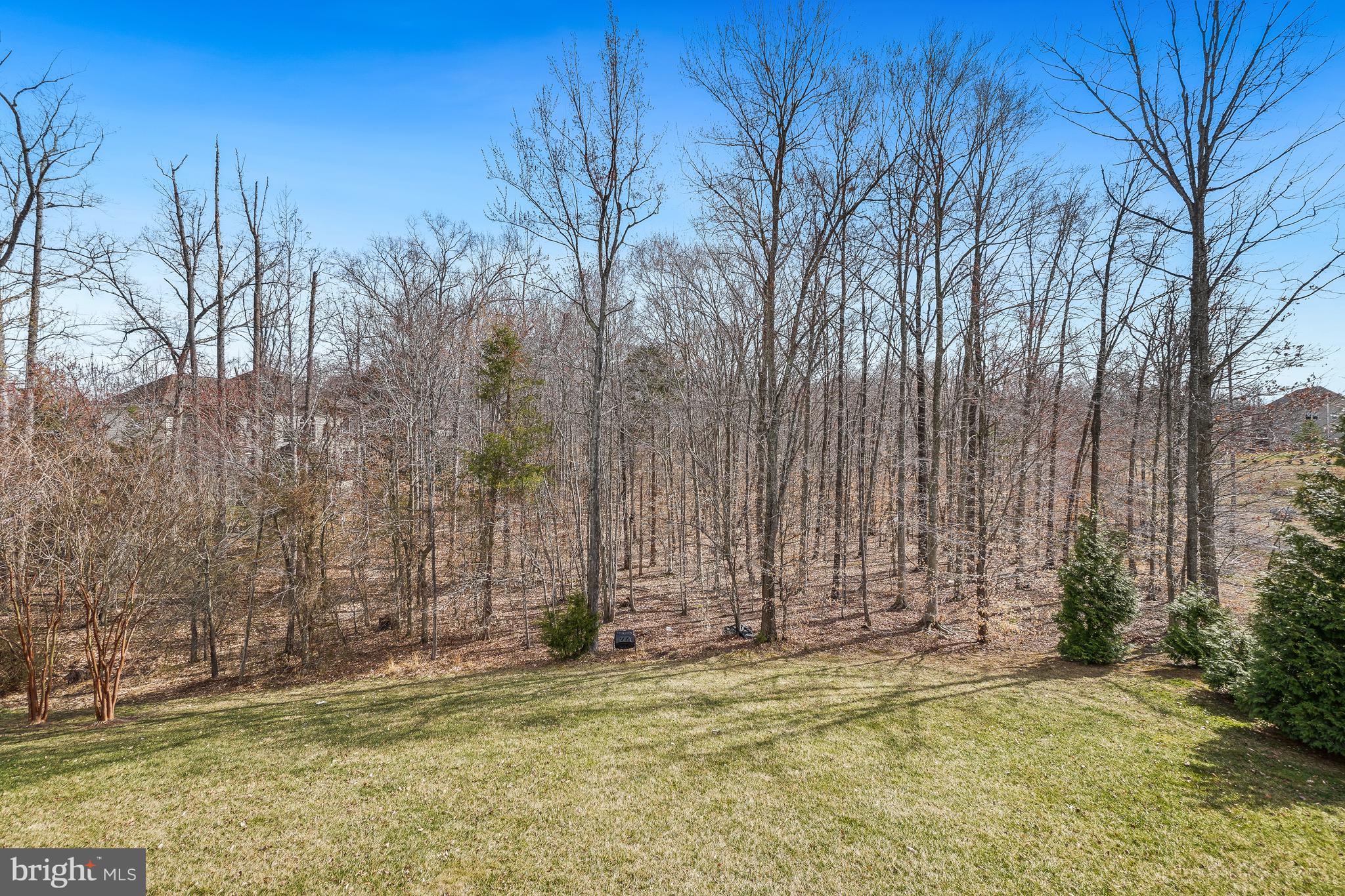 4463 Weejun Loop Woodbridge, VA 22192 - Photo 41 of 43 Backyard