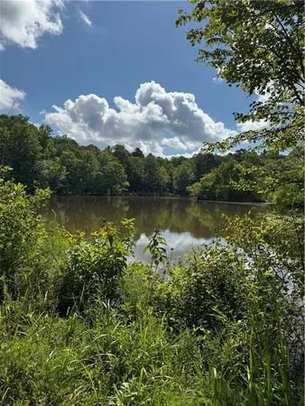 wooden view of a lake with houses in the back