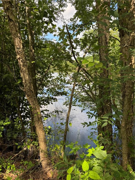 16653 Highway 36 Covington, GA 30014 - Photo 11 of 54 a backyard of a building