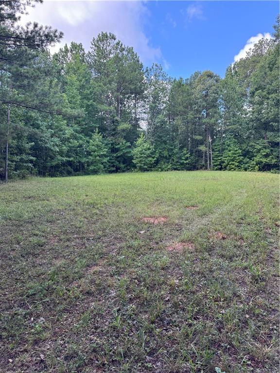 16653 Highway 36 Covington, GA 30014 - Photo 12 of 54 a view of outdoor space and yard