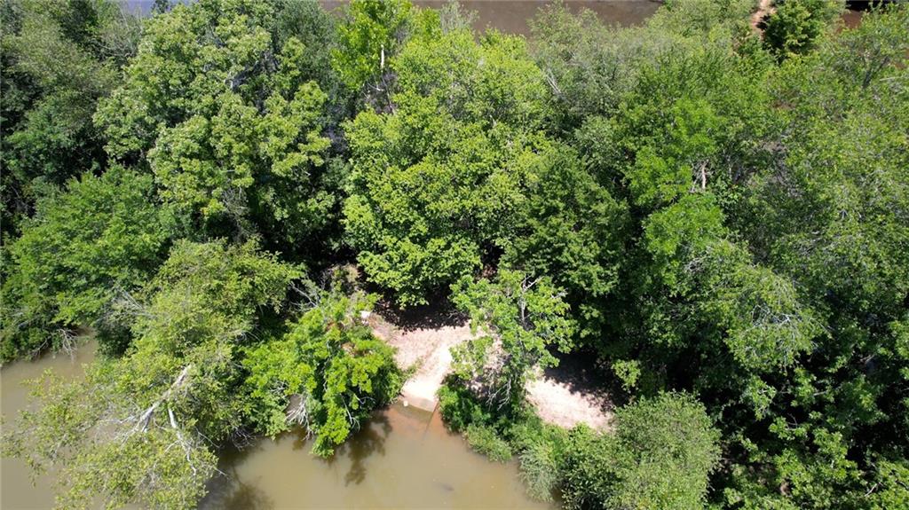 16653 Highway 36 Covington, GA 30014 - Photo 18 of 54 a view of a garden