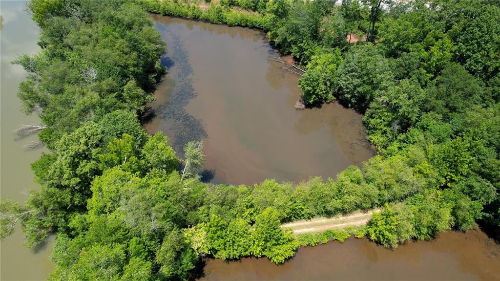 16653 Highway 36 Covington, GA 30014 - Photo 19 of 54 an aerial view of a house with a yard and garden in back