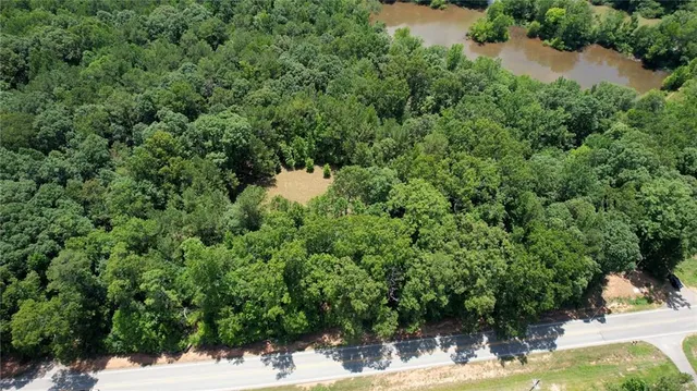 a view of a forest with a lake