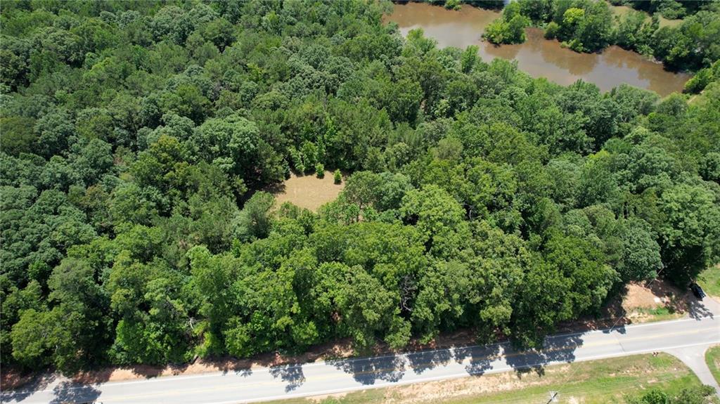 16653 Highway 36 Covington, GA 30014 - Photo 20 of 54 a view of a yard with a tree