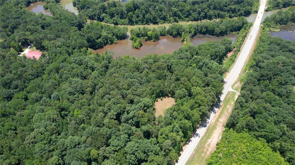 16653 Highway 36 Covington, GA 30014 - Photo 21 of 54 a view of a forest with a lake