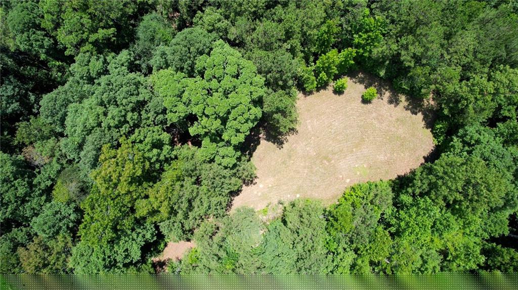 16653 Highway 36 Covington, GA 30014 - Photo 23 of 54