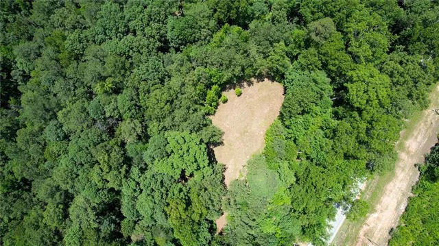 a view of a yard with a fountain