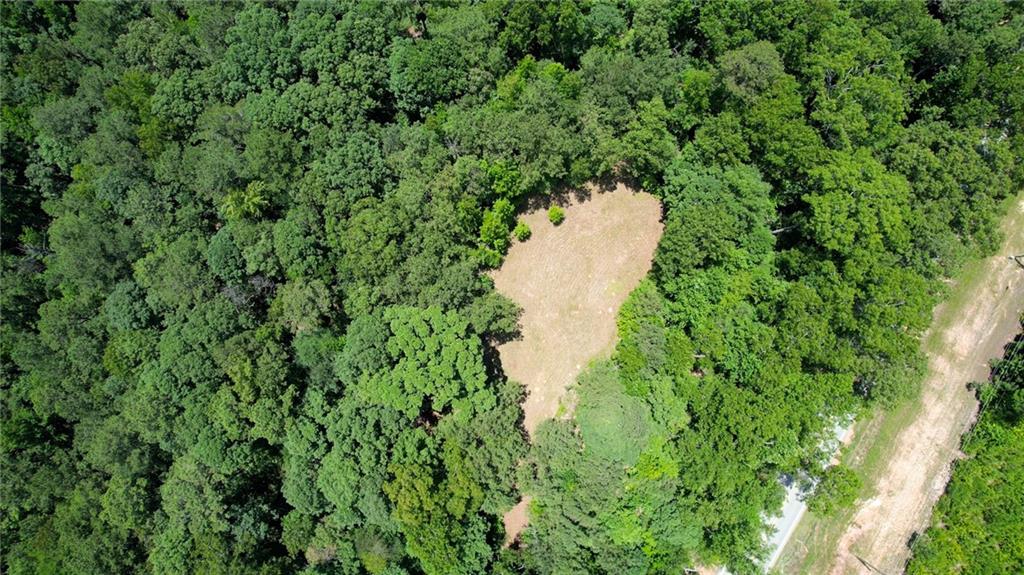 16653 Highway 36 Covington, GA 30014 - Photo 24 of 54 a view of a lush green field
