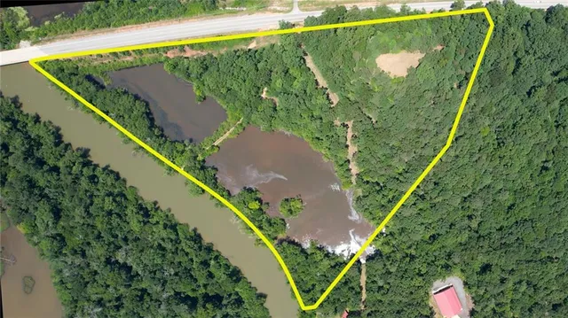 a view of a forest with a yard